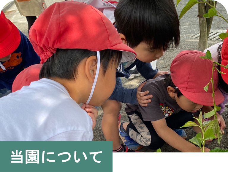 当園について